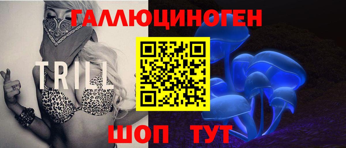 ГАШ Донской