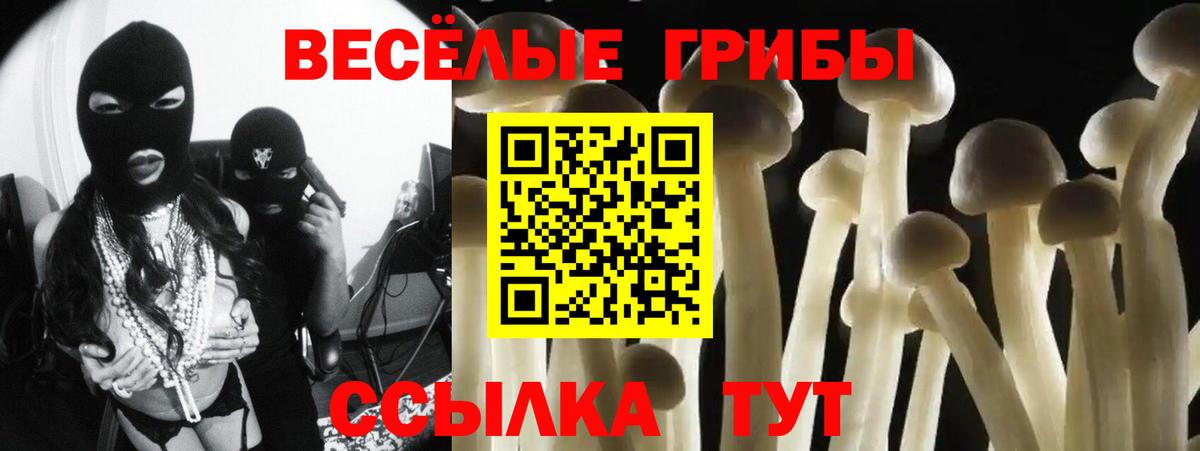 Псилоцибиновые грибы Psilocybe  Вход с VPN  Донской 